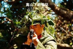 高山下的花环在线观看,重温革命岁月，共赏英雄风采