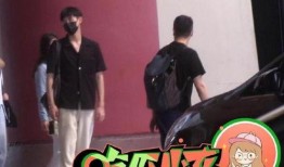 爆料娱乐圈卡通博主,幕后故事与真实生活