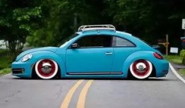 船长爆料甲壳虫视频,甲壳虫神秘视频背后的故事