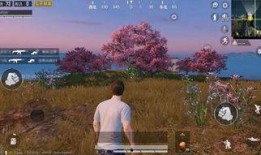 和平精英祈愿最新爆料,神秘英雄降临，战局再掀风云