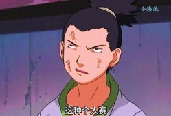鹿丸小豪爆料视频大全集,揭秘幕后真相与精彩瞬间