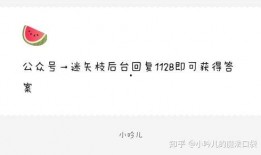 娱乐吃瓜爆料小说在线阅读