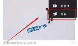 爆料的视频在哪里找到,如何从爆料视频中提炼精彩副标题