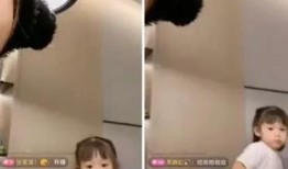 吴迪徒弟爆料事件视频播放,事件真相揭秘