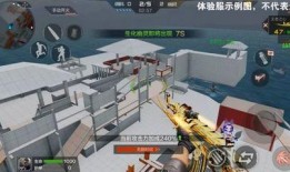 cf手游体验服最新爆料5月,全新内容与玩法即将来袭！