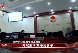 法庭真实爆料视频大全,真实爆料视频大全精彩回顾