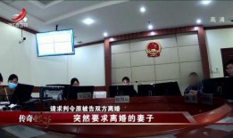 法庭真实爆料视频大全,真实爆料视频大全精彩回顾