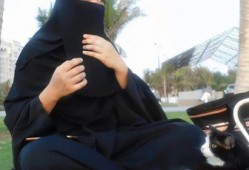 娱乐资讯君吃瓜,吃瓜群众背后的故事