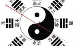 八卦爆料玩法视频播放大全,揭秘八卦玩法视频大全精彩瞬间