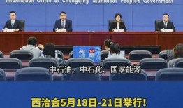 重庆网友最新爆料西洽会,重庆网友揭秘盛会精彩瞬间