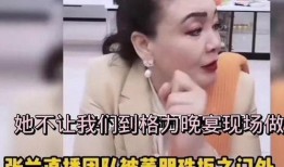 张兰爆料董明珠视频播放,一场商业巨头间的风云对决