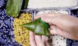 小粽子被爆料视频大全集,揭秘网络红人的真实生活