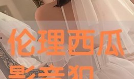 西瓜伦理电影在线观看,揭秘在线观影背后的道德困境