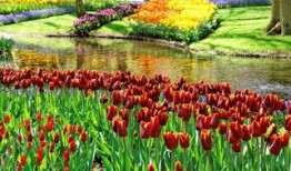 爆料半亩花田视频大全,揭秘美丽秘诀，美丽生活从此开始