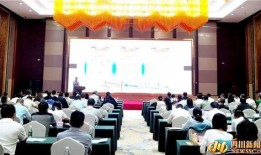 南充论坛爆料信息最新,揭秘当地热点事件背后的真相