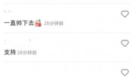 爆料视频暖心句子,爆料视频中的暖心句子触动人心