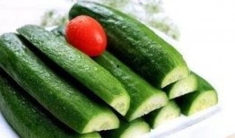 黄瓜最新爆料,揭秘绿色蔬菜背后的秘密与营养