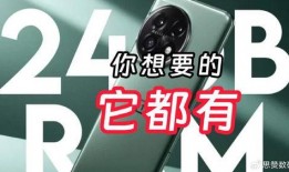 一加13官方最新爆料价格,价格揭晓，性能与颜值并存！”