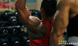 韩国健美先生爆料视频,真实与虚假的较量