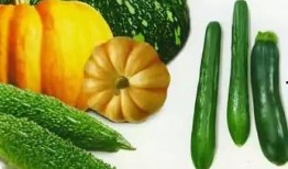 林同学的瓜在哪里免费吃