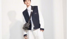 女生爆料王俊凯视频播放,揭秘明星背后的真实生活