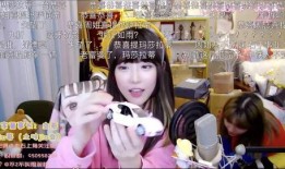 原神爆料周姐视频大全,揭秘角色背景与游戏新动态